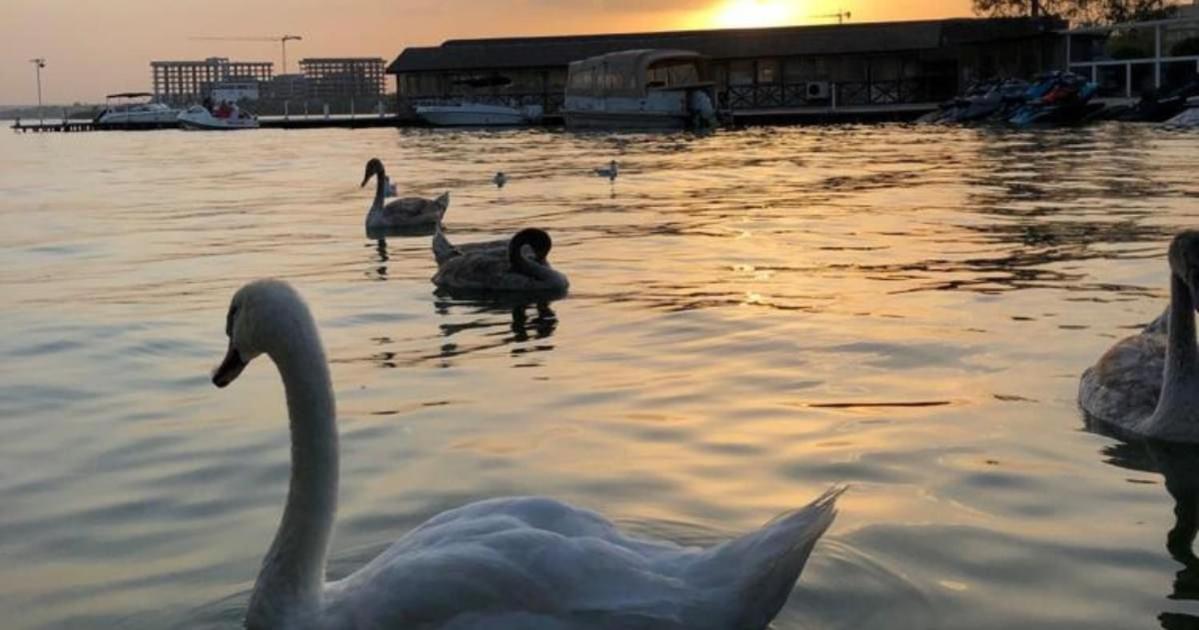 Hotel La Scoica Land Năvodari Zewnętrze zdjęcie